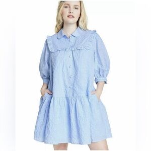Sandy Liang x Target Blue Gingham 3/4 Sleeve Shirtdress Dress